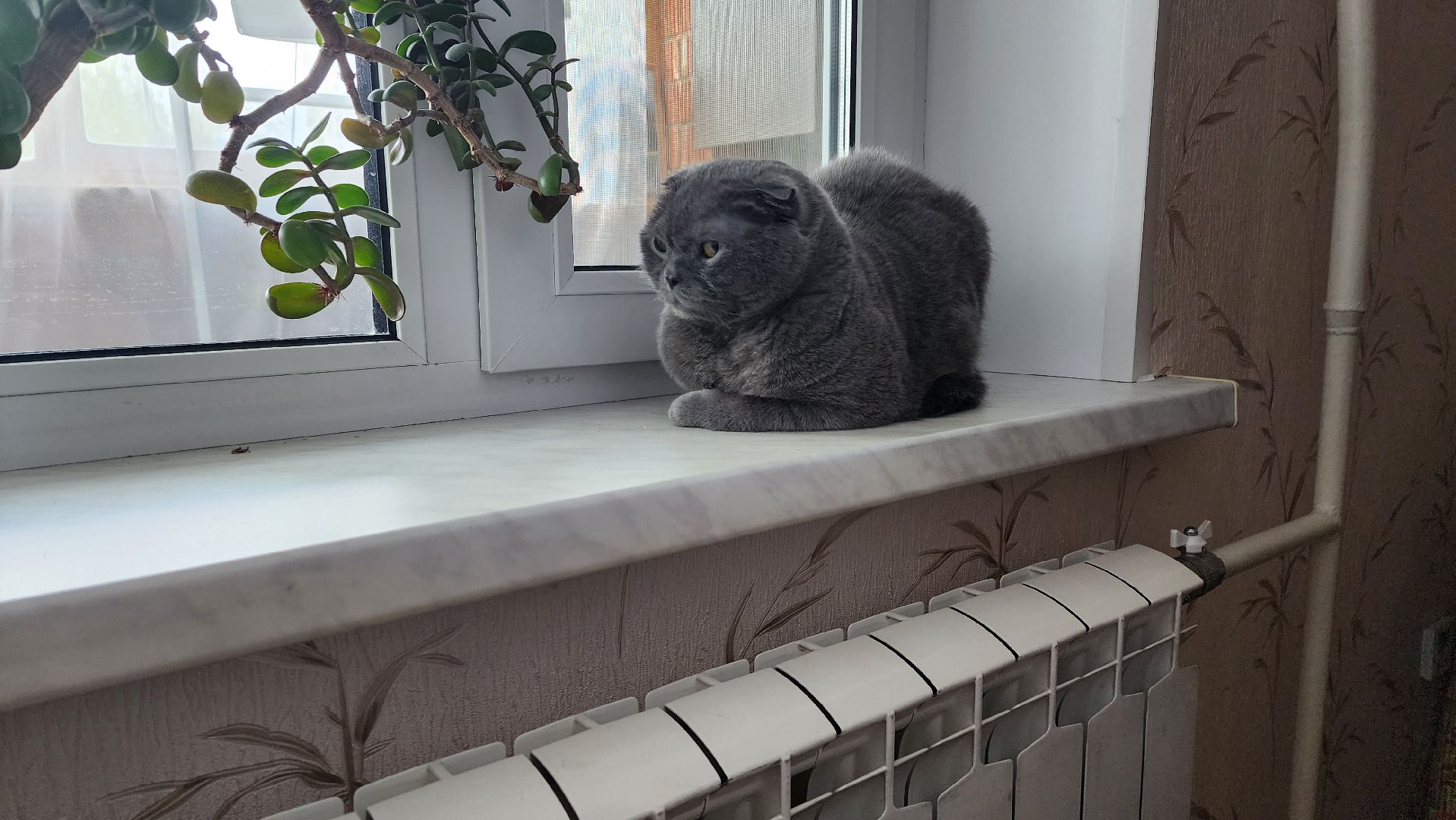 Солнечногорск, Военный городок, ЖКХ, отопление,