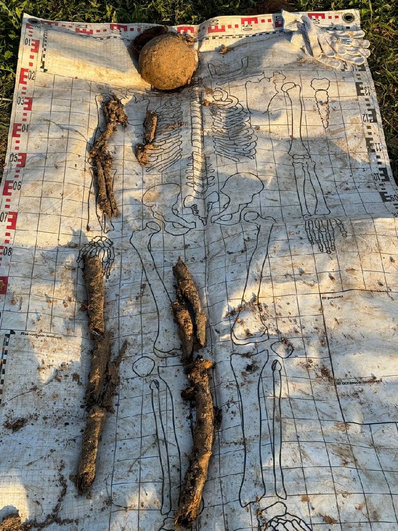 Вахта Памяти 2024, Память войны, великая отечественная война, битва за Москву, клуб Илья муромец, вахта памяти раскопки,