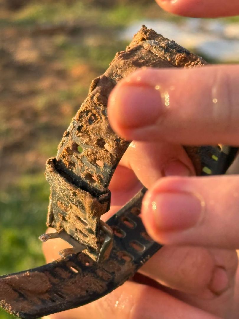 Вахта Памяти 2024, Память войны, великая отечественная война, битва за Москву, клуб Илья муромец, вахта памяти раскопки,