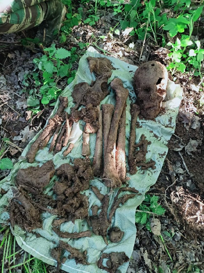 Вахта Памяти 2024, Память войны, великая отечественная война, битва за Москву, клуб Илья муромец, вахта памяти раскопки,