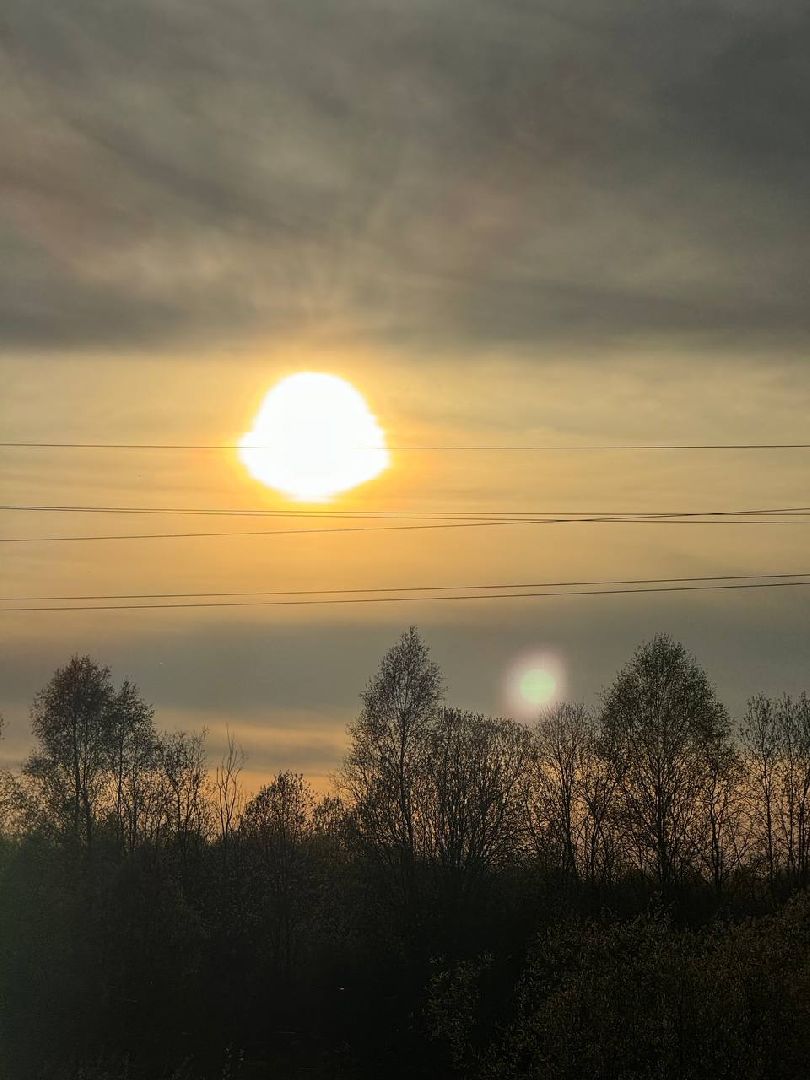 Вахта Памяти 2024, Память войны, великая отечественная война, битва за Москву, клуб Илья муромец, вахта памяти раскопки,