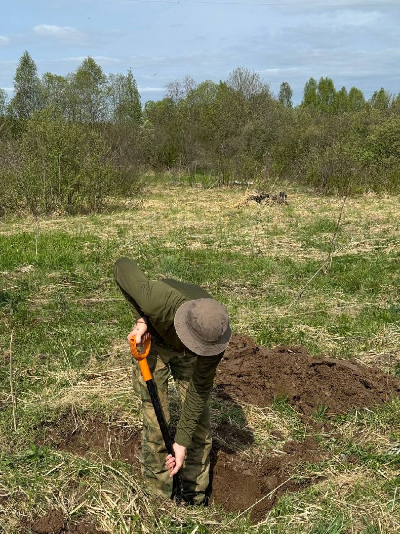 Вахта Памяти 2024, Память войны, великая отечественная война, битва за Москву, клуб Илья муромец, вахта памяти раскопки,