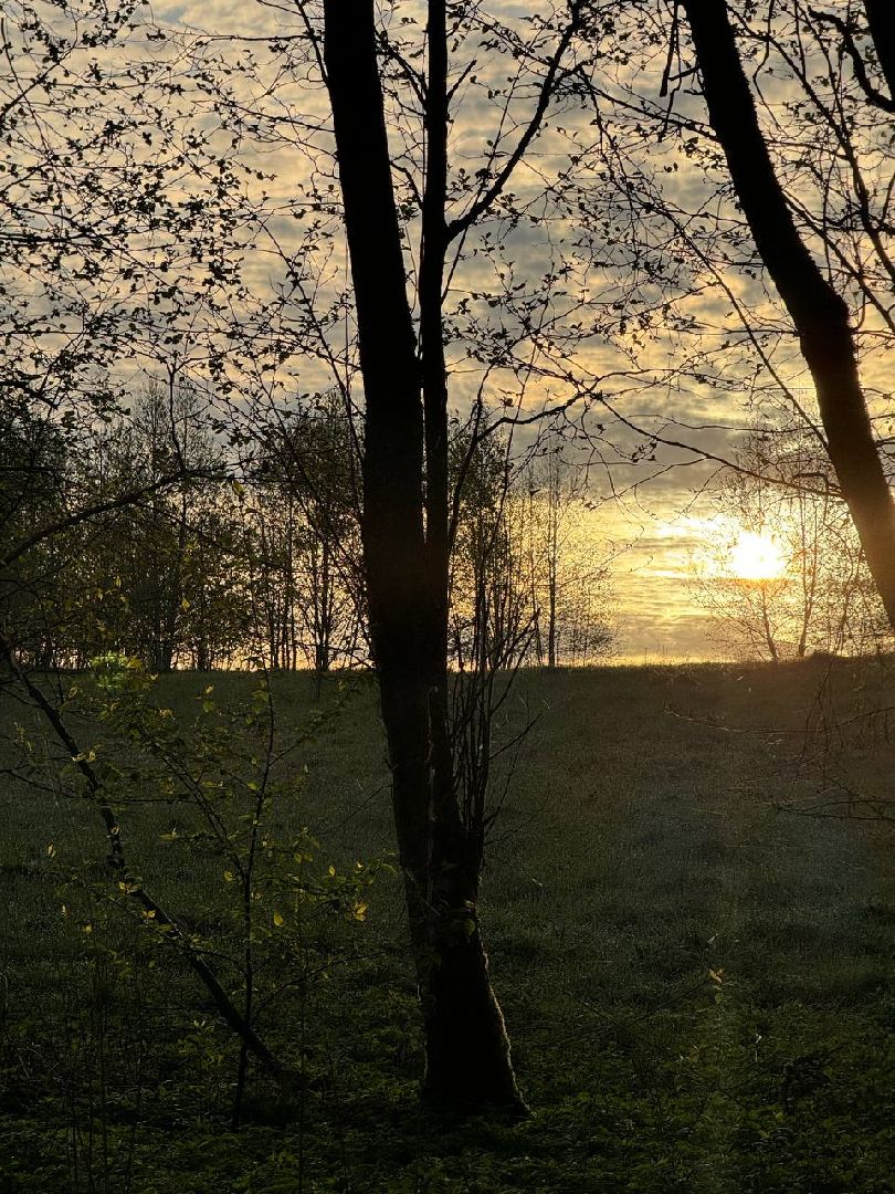 Вахта Памяти 2024, Память войны, великая отечественная война, битва за Москву, клуб Илья муромец, вахта памяти раскопки,