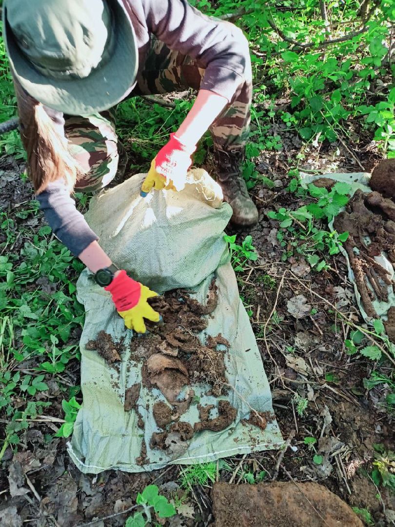 Вахта Памяти 2024, Память войны, великая отечественная война, битва за Москву, клуб Илья муромец, вахта памяти раскопки,