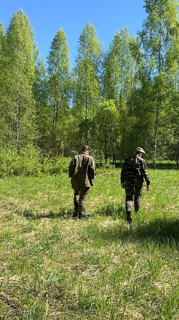 Вахта Памяти 2024, Память войны, великая отечественная война, битва за Москву, клуб Илья муромец, вахта памяти раскопки,