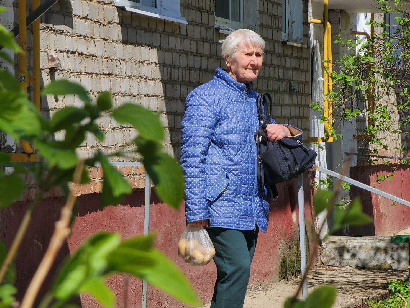 можайск, можайский городской округ, подмосковье, день победы, фронтовые бригады, ветераны, концерты у дома, поздравления,