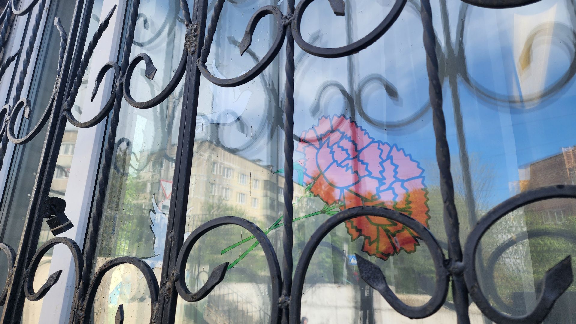 кашира, центральная библиотека, окна победы, 9 мая, день победы, георгиевская лента, голубь мира, жаравли, великая отечественная война,