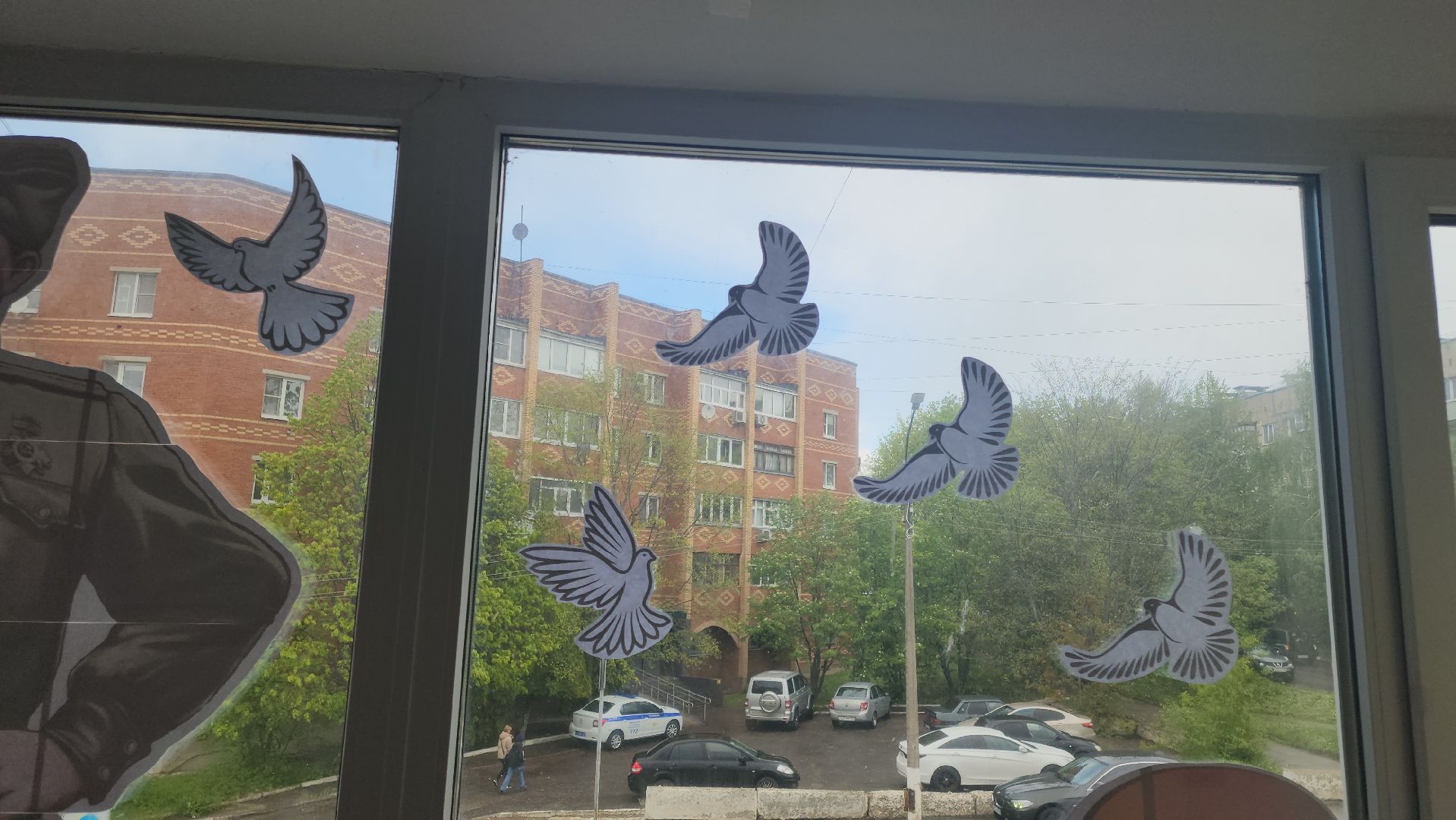 кашира, центральная библиотека, окна победы, 9 мая, день победы, георгиевская лента, голубь мира, жаравли, великая отечественная война,