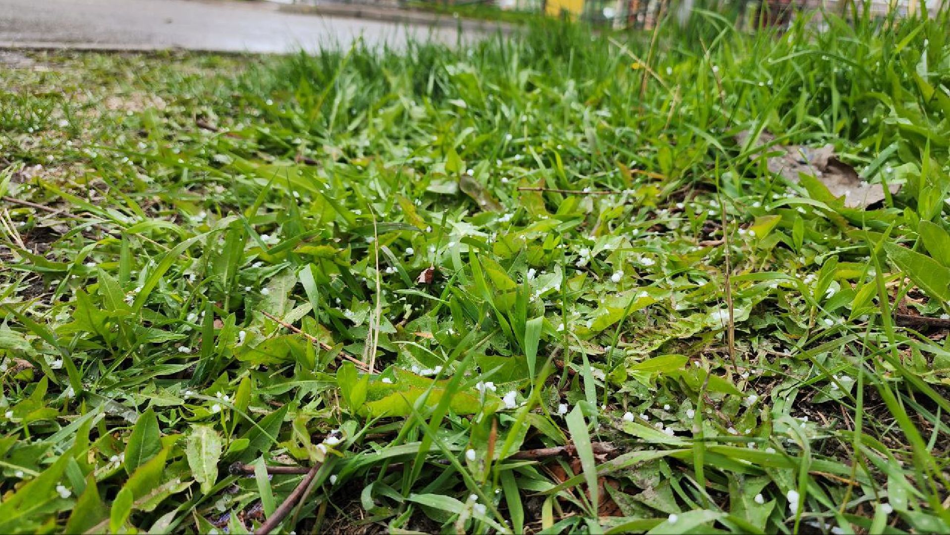 Люберцы, погода, снег, 9 мая, день победы,