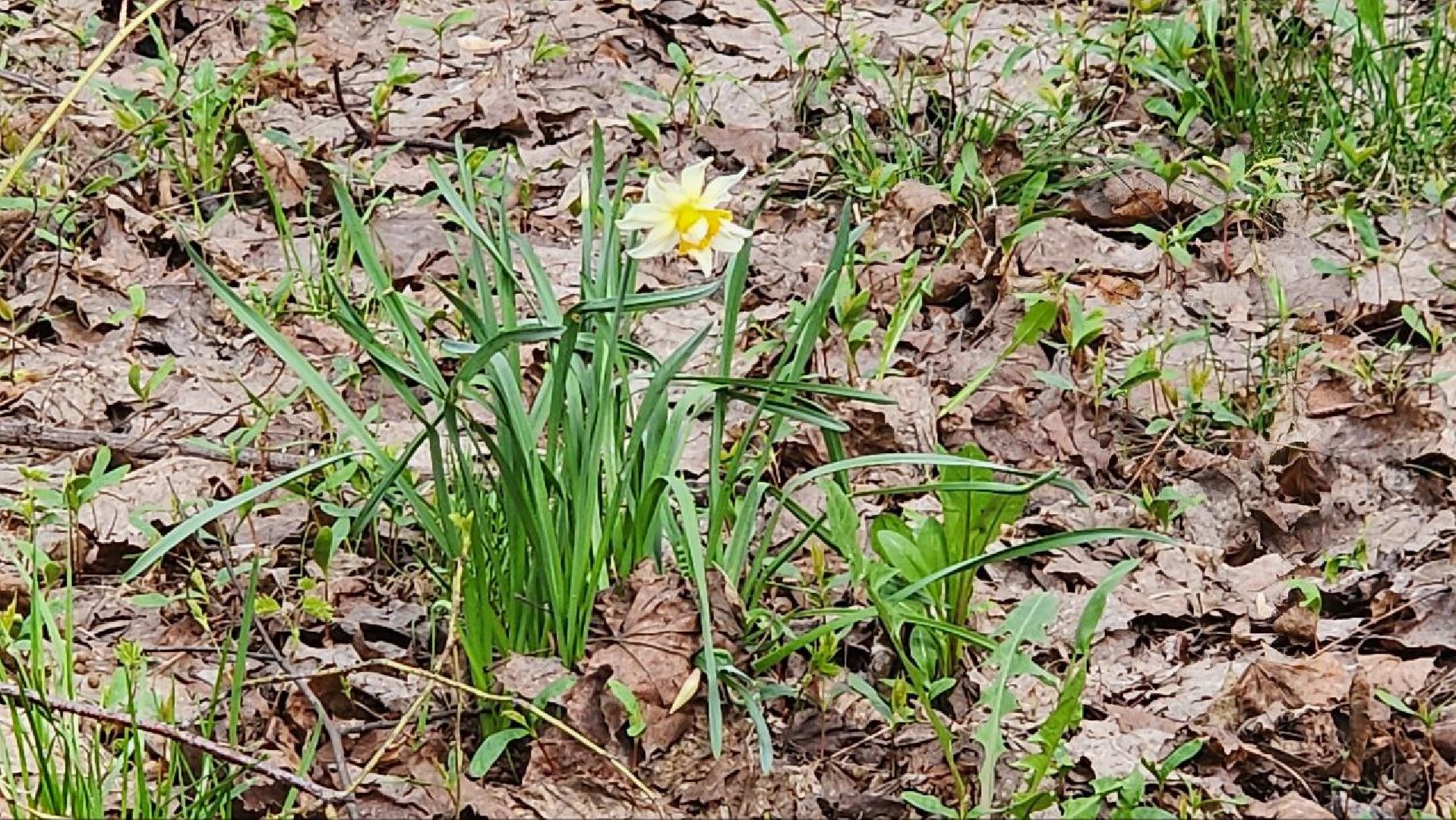 Люберцы, погода, снег, 9 мая, день победы,