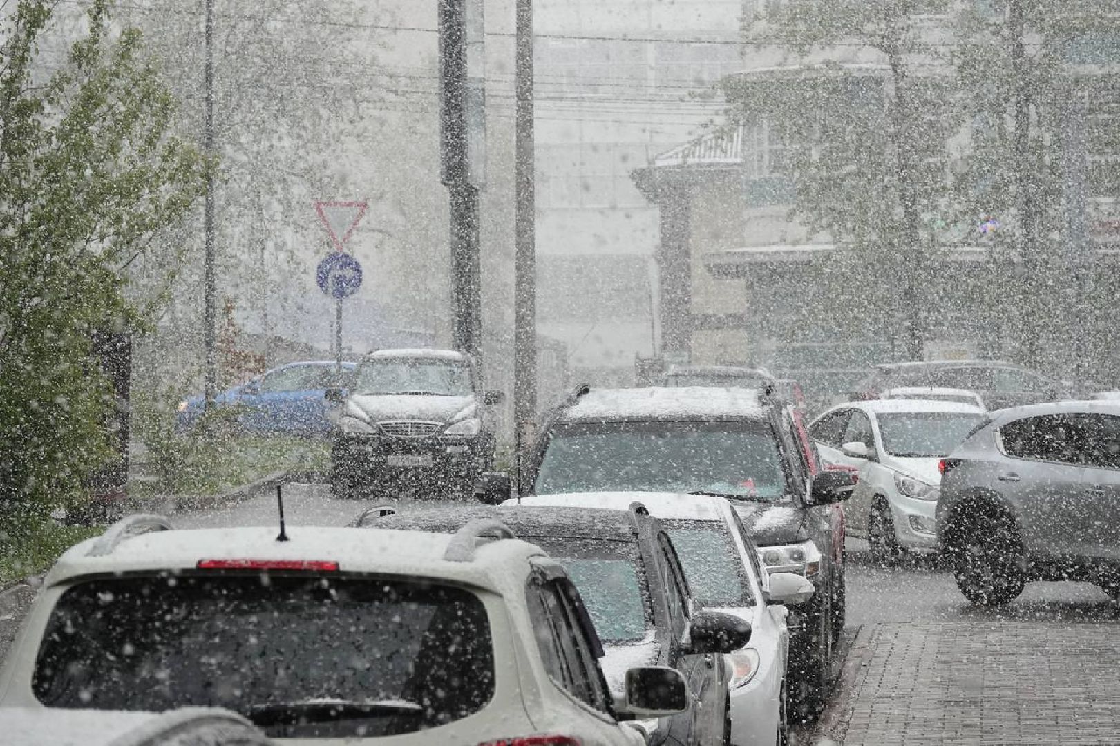 Погода, Снег, Май, Весна,Сергиев Посад,