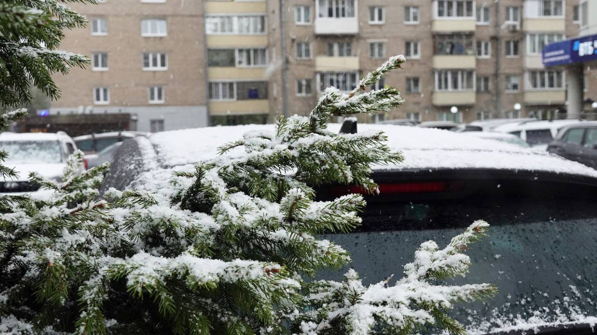 Погода, Снег, Май, Весна,Сергиев Посад,