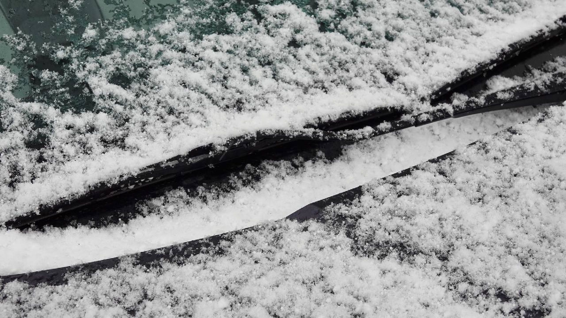 Погода, Снег, Май, Весна,Сергиев Посад,