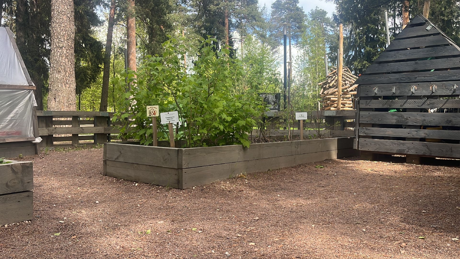 парк, парки балашихи, пестовский парк, аптекарский огород,