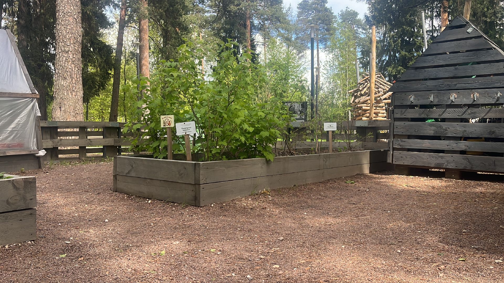 парк, парки балашихи, пестовский парк, аптекарский огород,