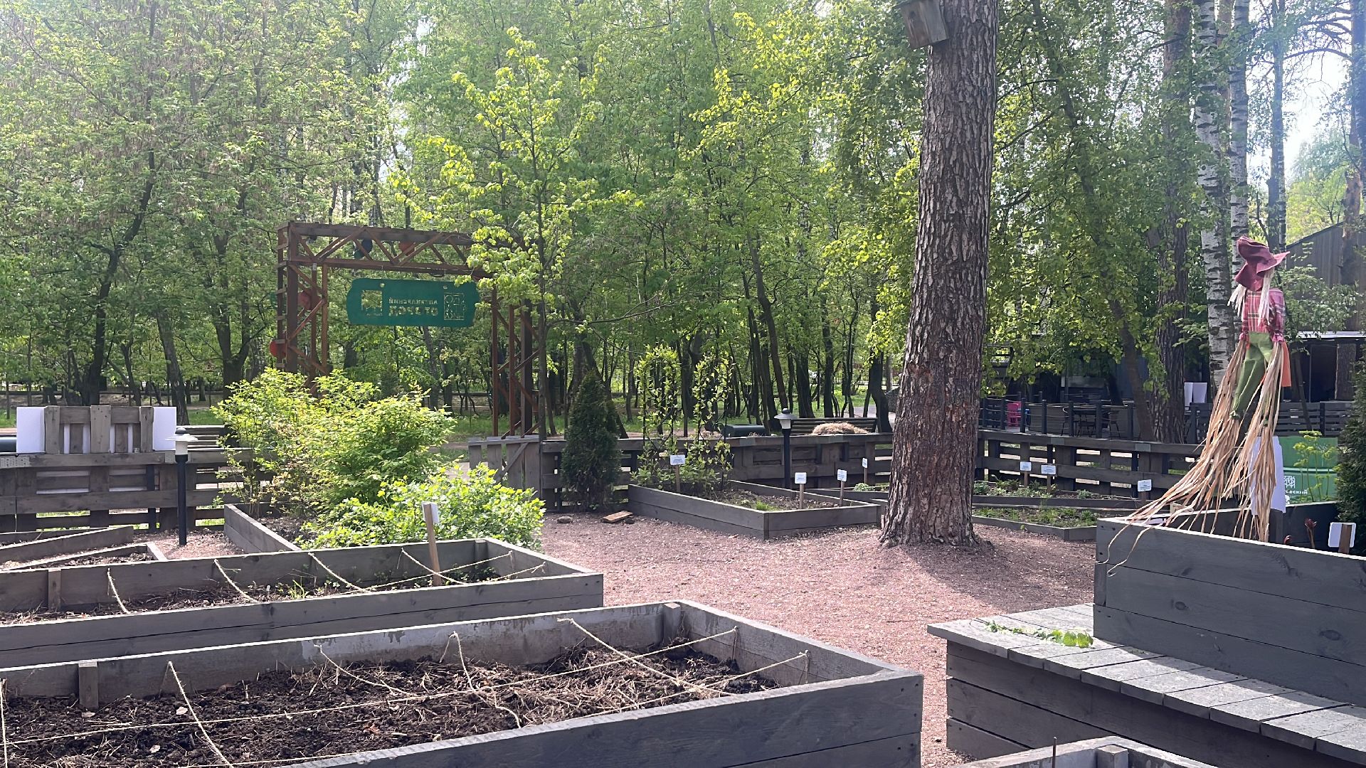 парк, парки балашихи, пестовский парк, аптекарский огород,