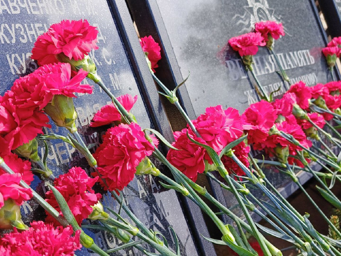 Солнечногорск, возложение цветов, день победы, 9 мая, жители,