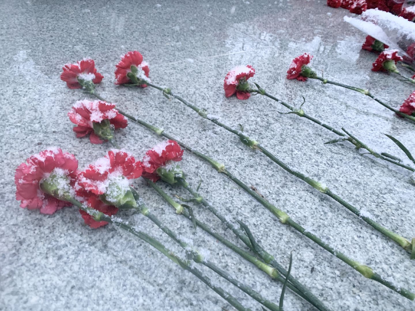 Балашиха, Подмосковье, День Победы, свеча памяти, патриотическая акция, волонтеры подмосковья,