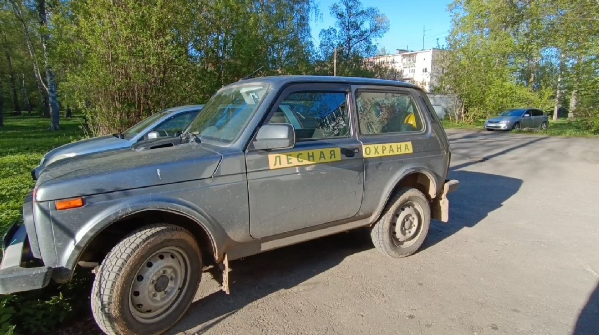 экология, лес, пожароопасный сезон, лобня,