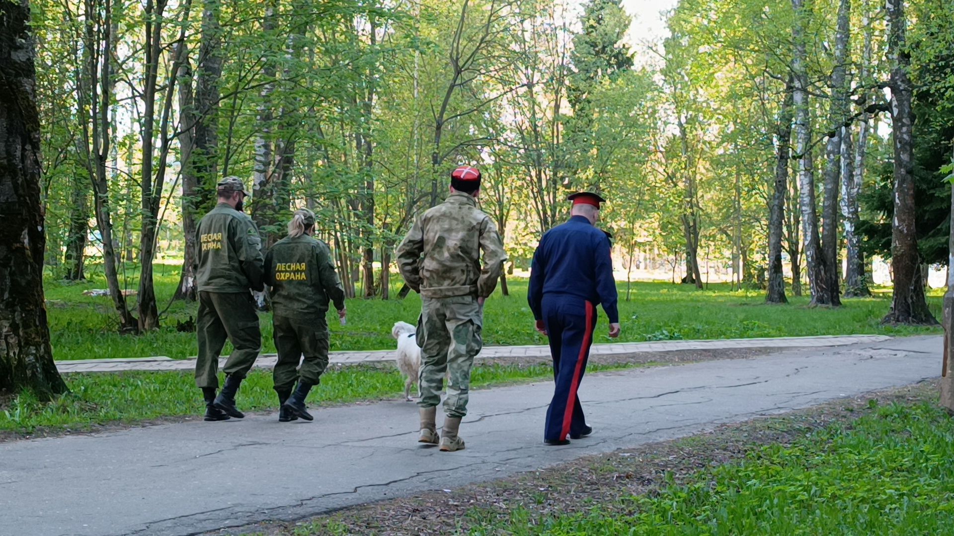 экология, лес, пожароопасный сезон, лобня,