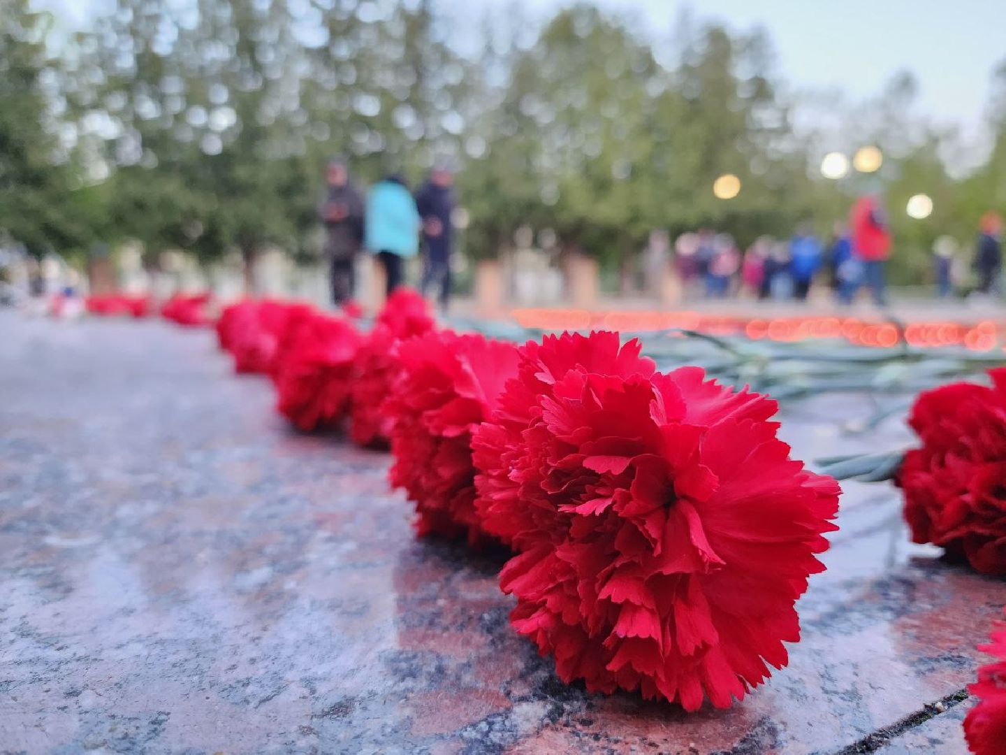 можайск, можайский городской округ, подмосковье, вахта памяти, свеча памяти, акция, память, советские солдаты, день победы, 9 мая, герои,