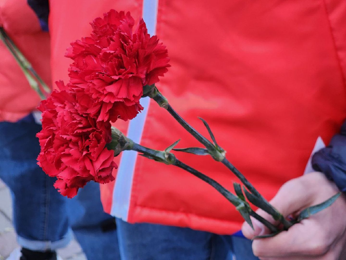 можайск, можайский городской округ, подмосковье, вахта памяти, свеча памяти, акция, память, советские солдаты, день победы, 9 мая, герои,