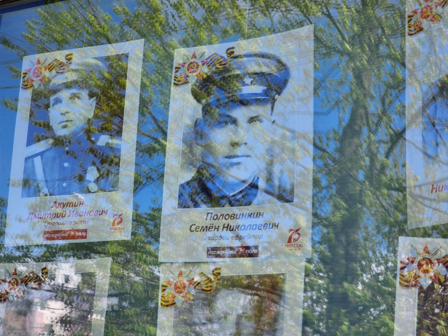 день победы, День Победы в рузе, праздник, 9 мая, бессмертный полк, руза, рузский городской округ, великая отечественная война,