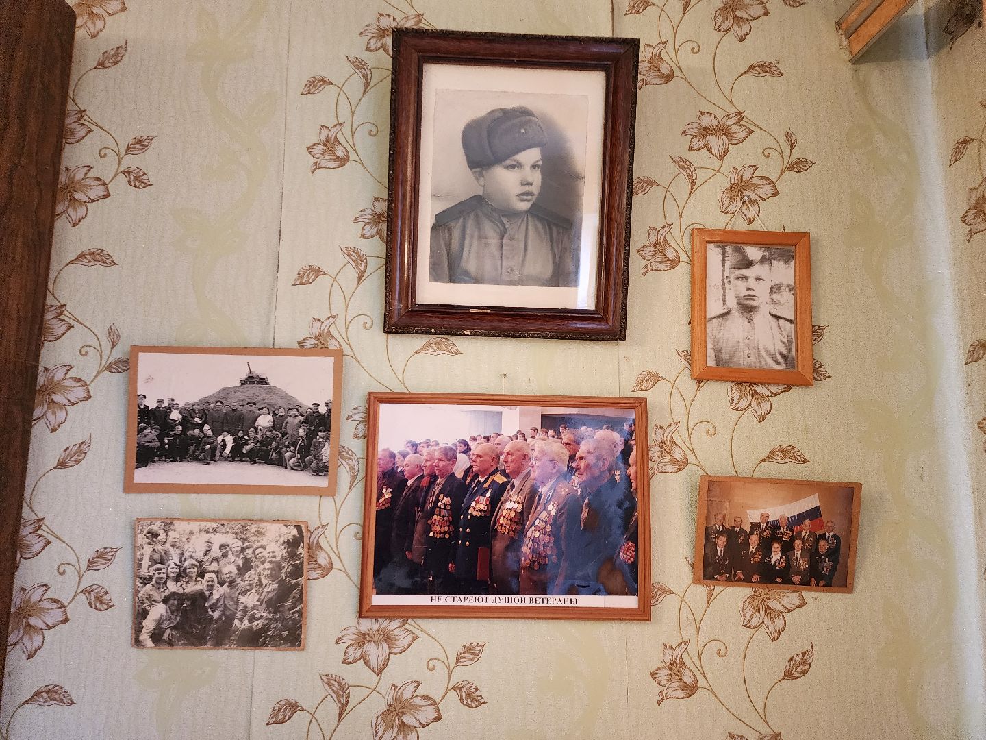 Ветеран, ветеран вов, день победы в рузе, 9 мая, руза, рузский городской округ, московская область, день победы, великая отечественная война, спецоперация,