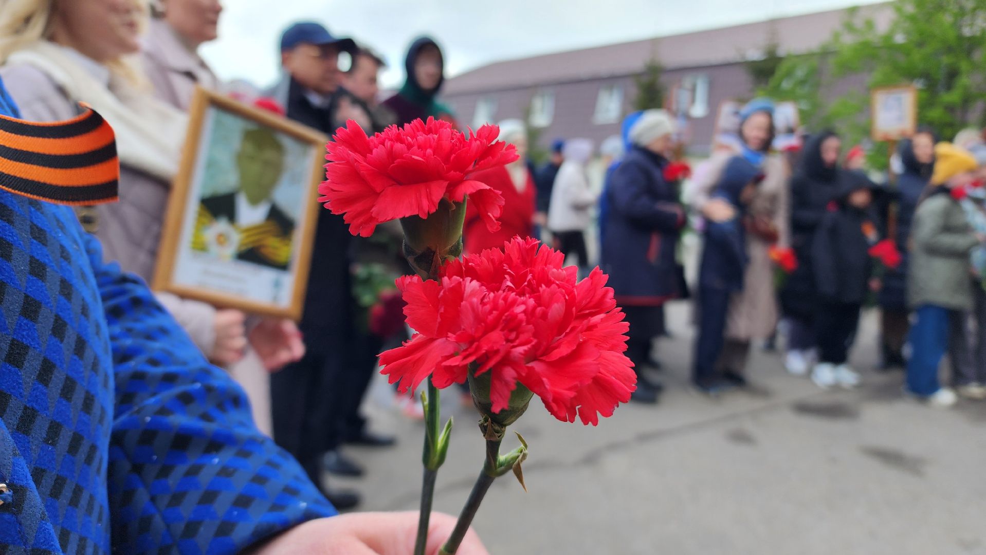 ЦВПВ, Домодедово, Подмосковье, георгиевская лента, Митинг, День Победы, 9 мая, Волонтеры Подмосковья,