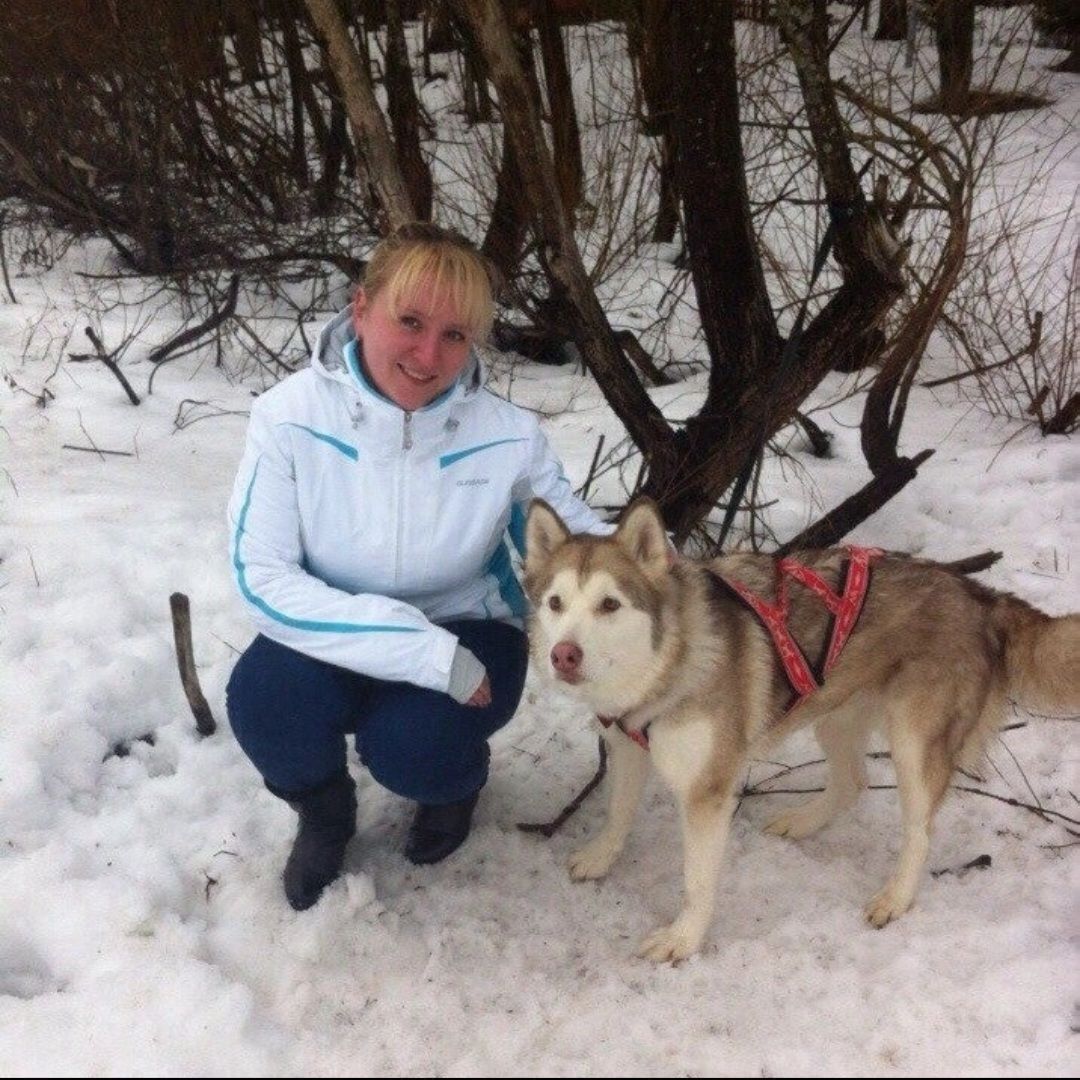 Участковая, 100 лет службе участковых, Торты