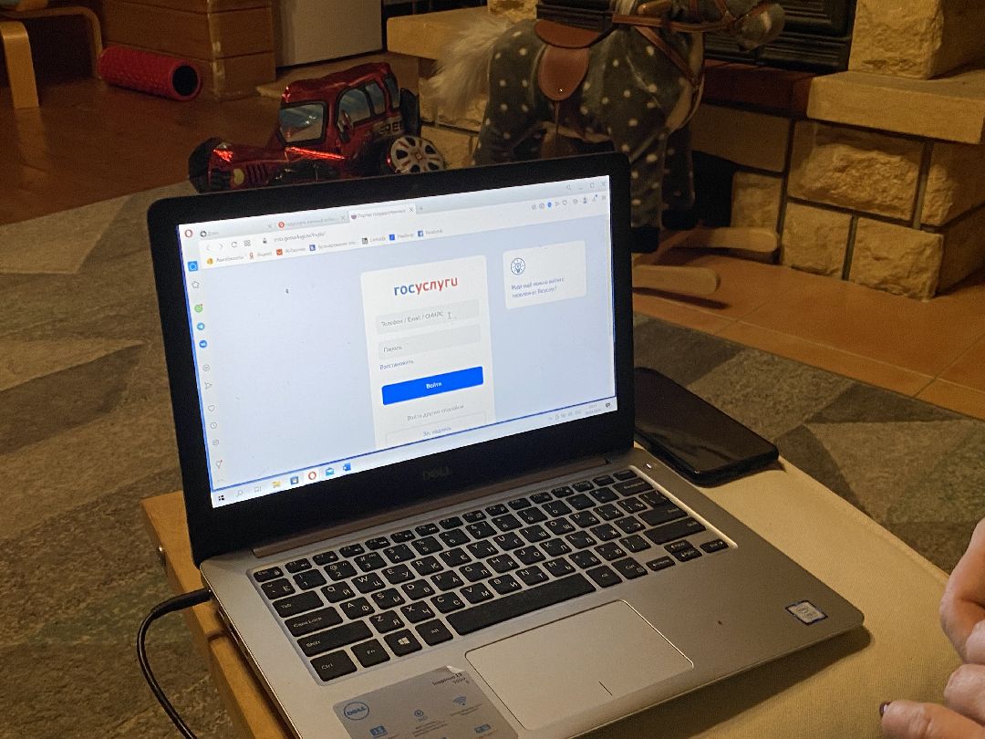 Краснознаменск, мошенники, ГосУслуги, обман, пароли