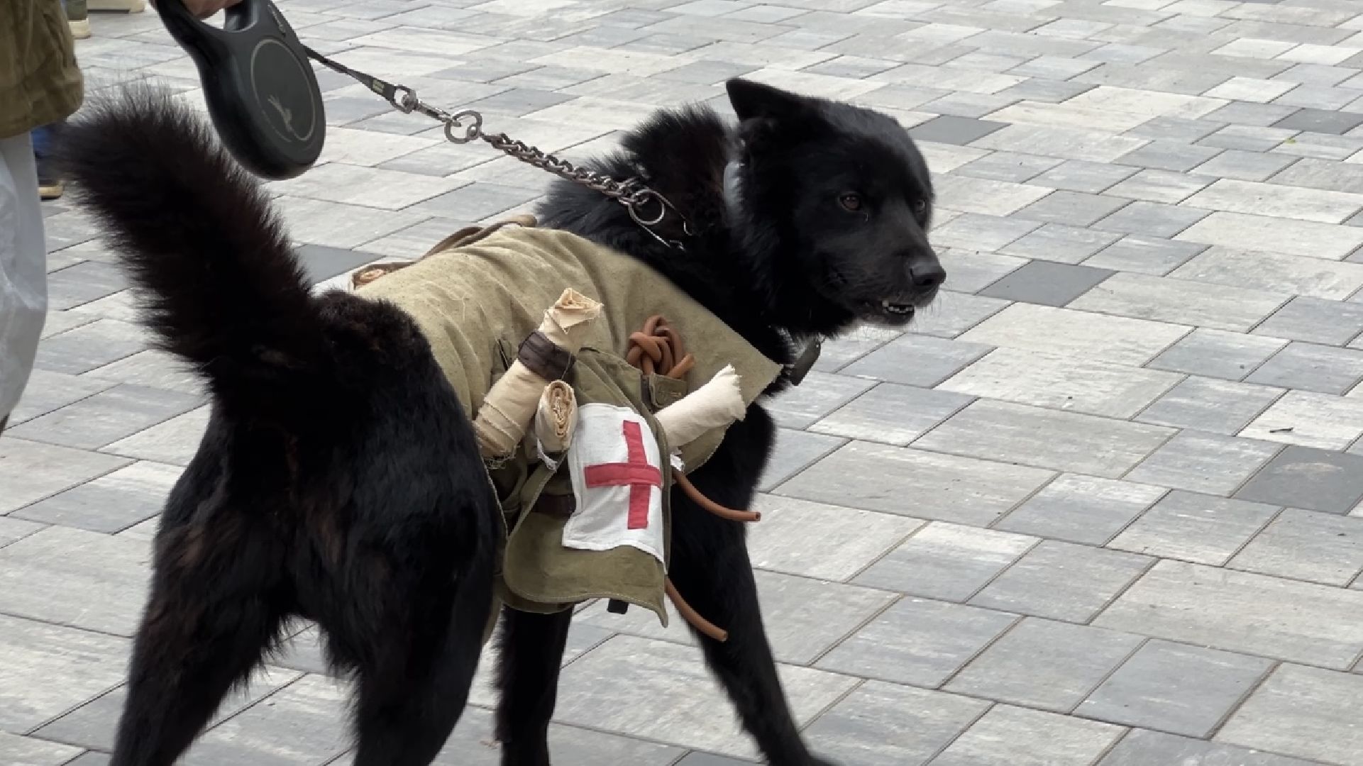 химки, парк, день победы, праздник, 9 мая,