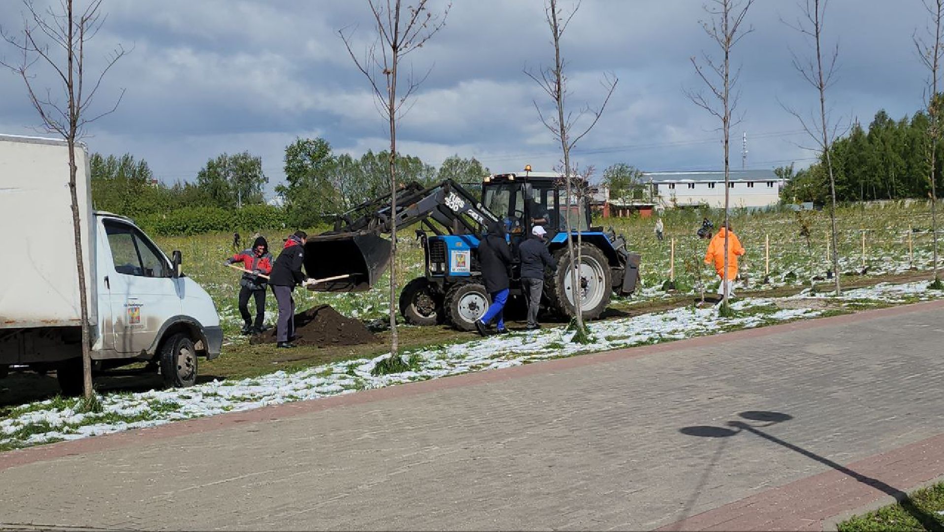 люберцы, парк победы, посадка деревьев, глава городского округа люберцы владимир волков,
