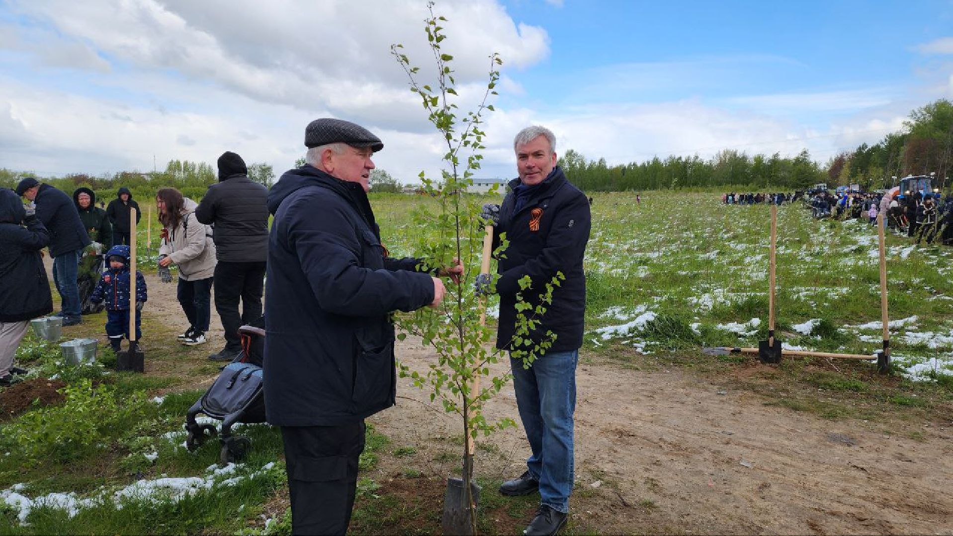 люберцы, парк победы, посадка деревьев, глава городского округа люберцы владимир волков,