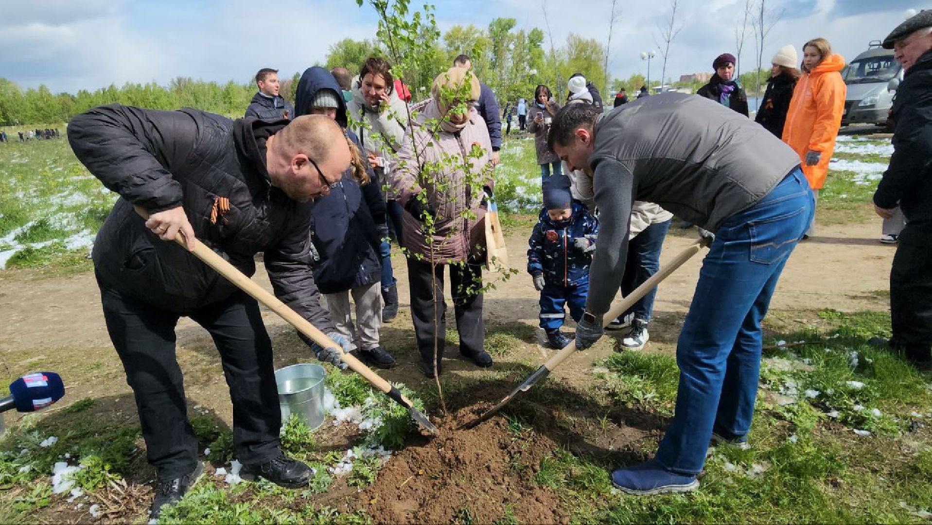 люберцы, парк победы, посадка деревьев, глава городского округа люберцы владимир волков,