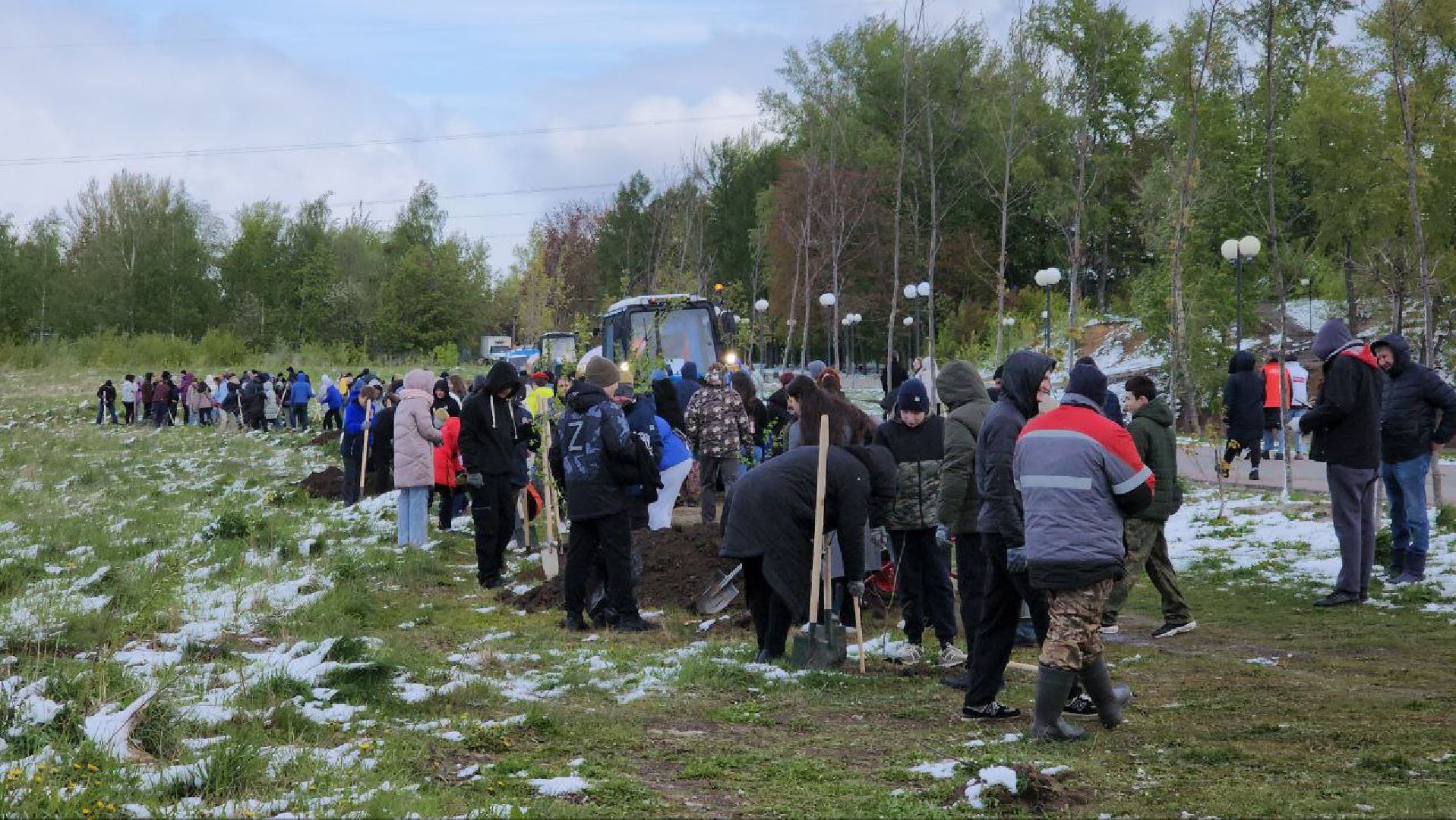 люберцы, парк победы, посадка деревьев, глава городского округа люберцы владимир волков,