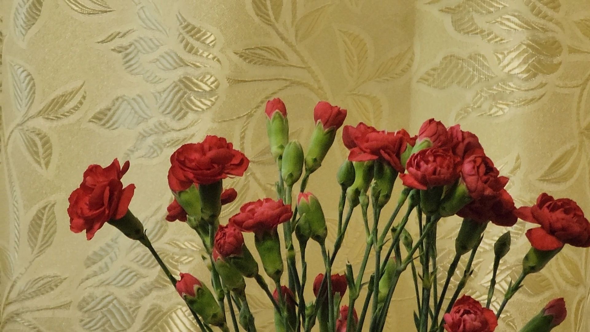 Дубна, Ветераны, День победы, поздравление,