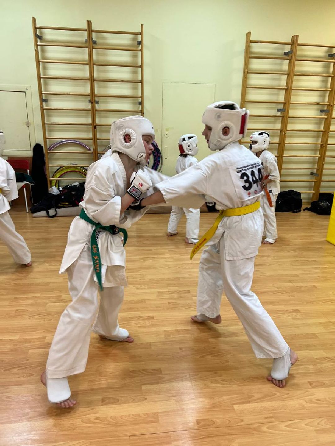 Раменское, спорт