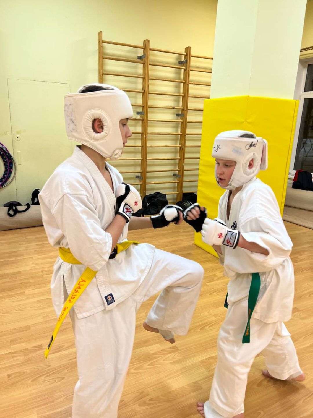 Раменское, спорт