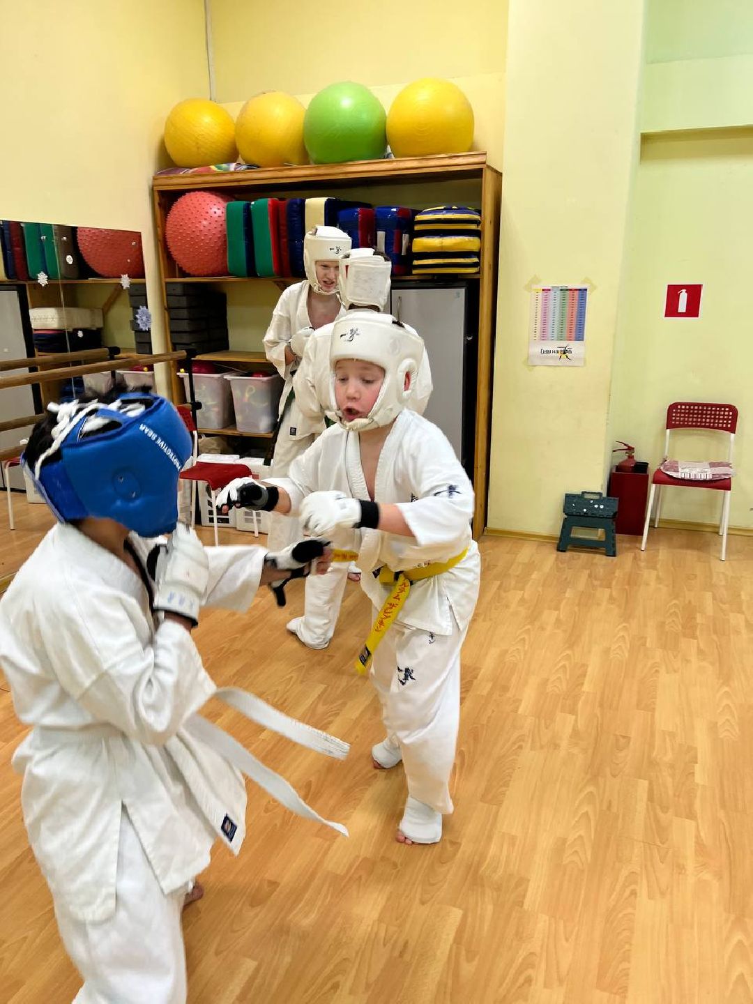 Раменское, спорт