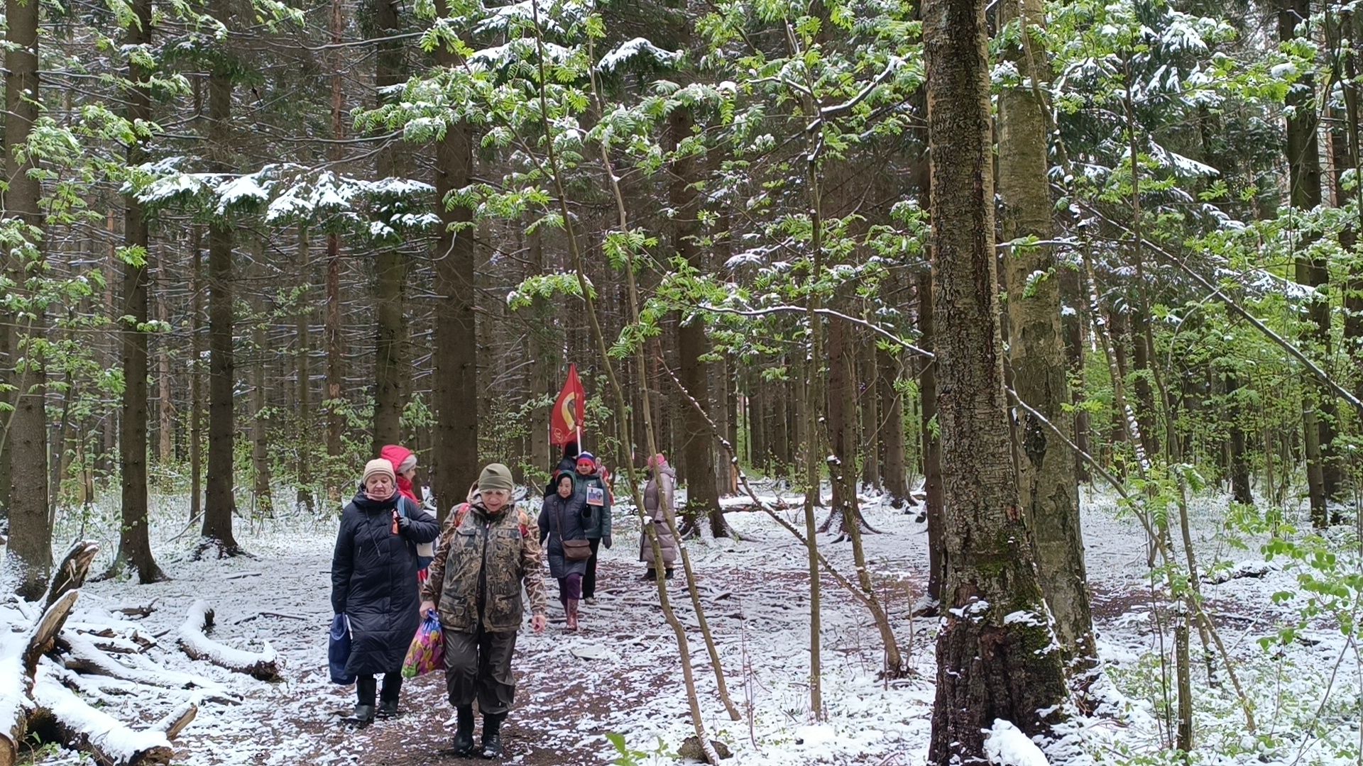 день победы, поход, лобня,