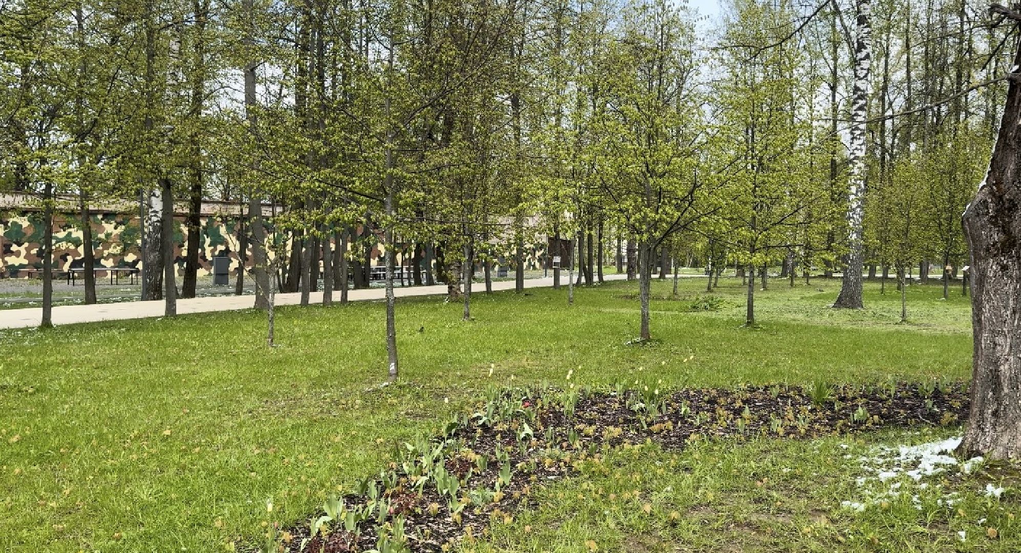 Солнечногорск, Аллея победы, день победы, 9 мая, Праздник, Жители,