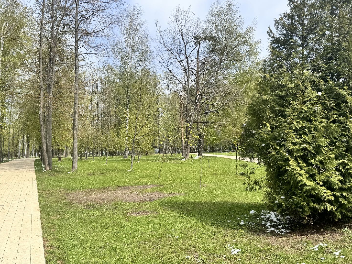 Солнечногорск, Аллея победы, день победы, 9 мая, Праздник, Жители,