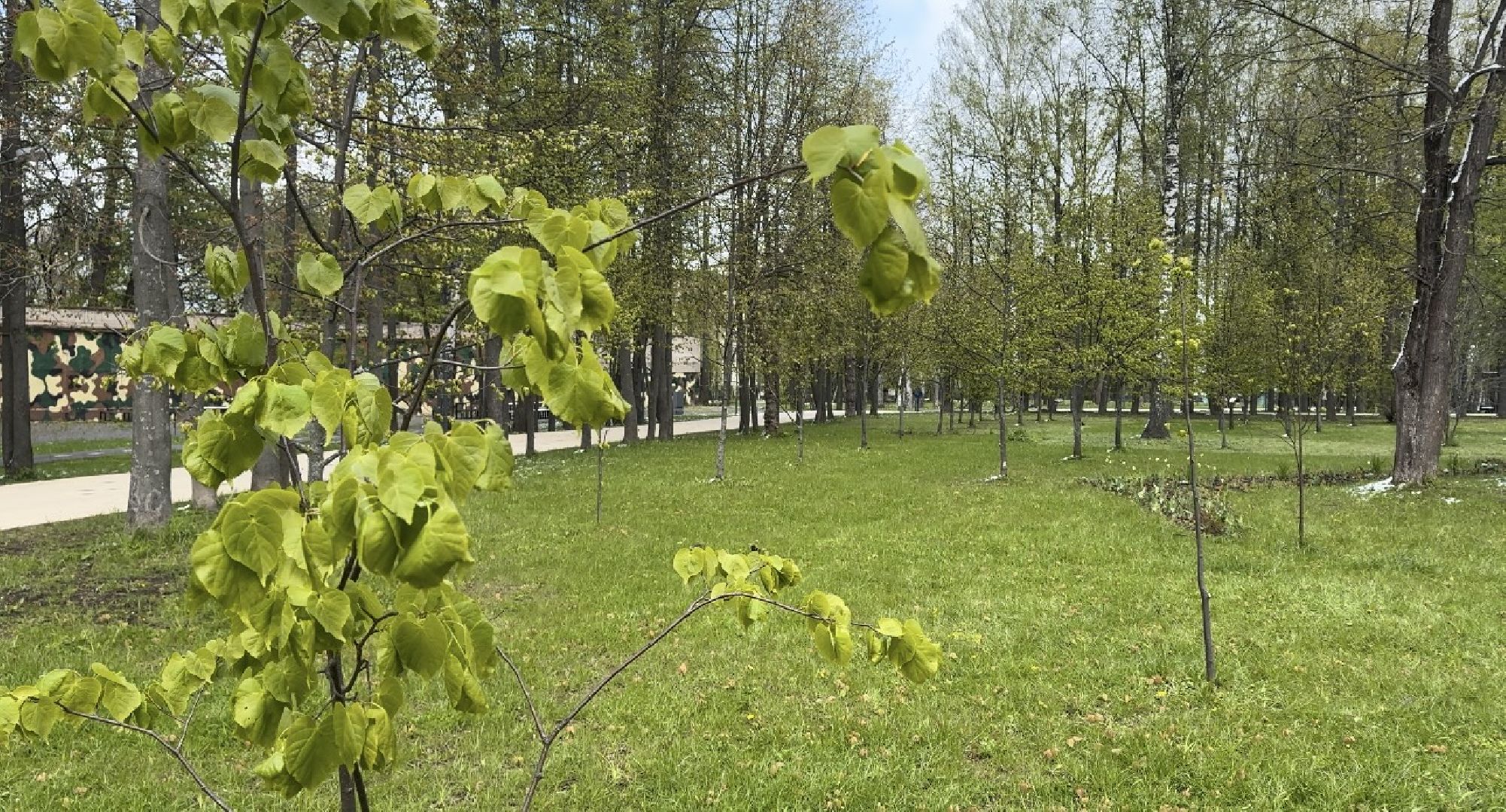 Солнечногорск, Аллея победы, день победы, 9 мая, Праздник, Жители,