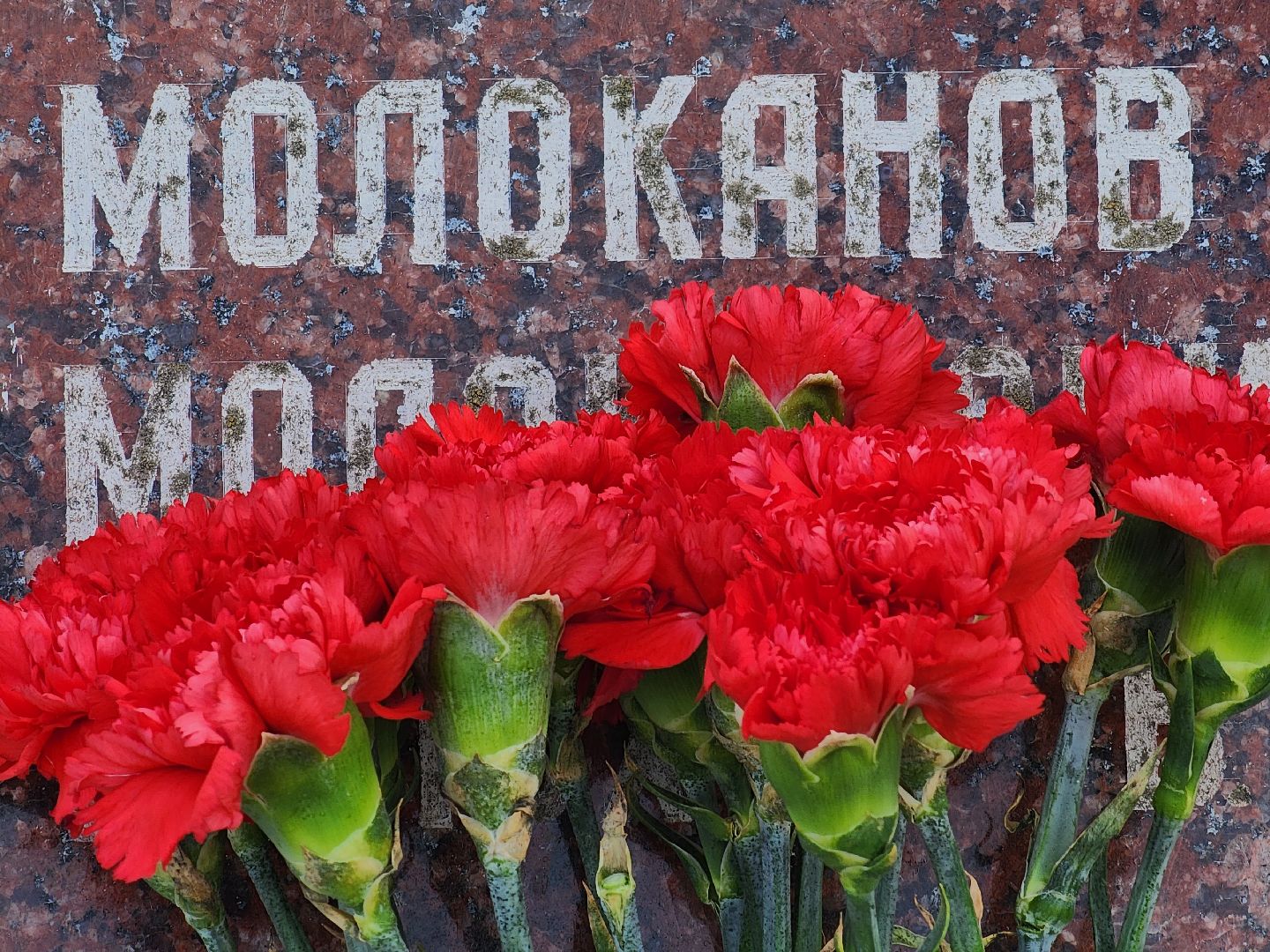 королёв,