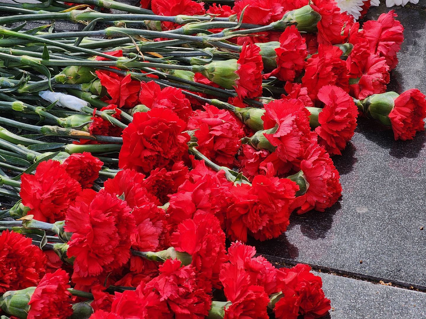 королёв,