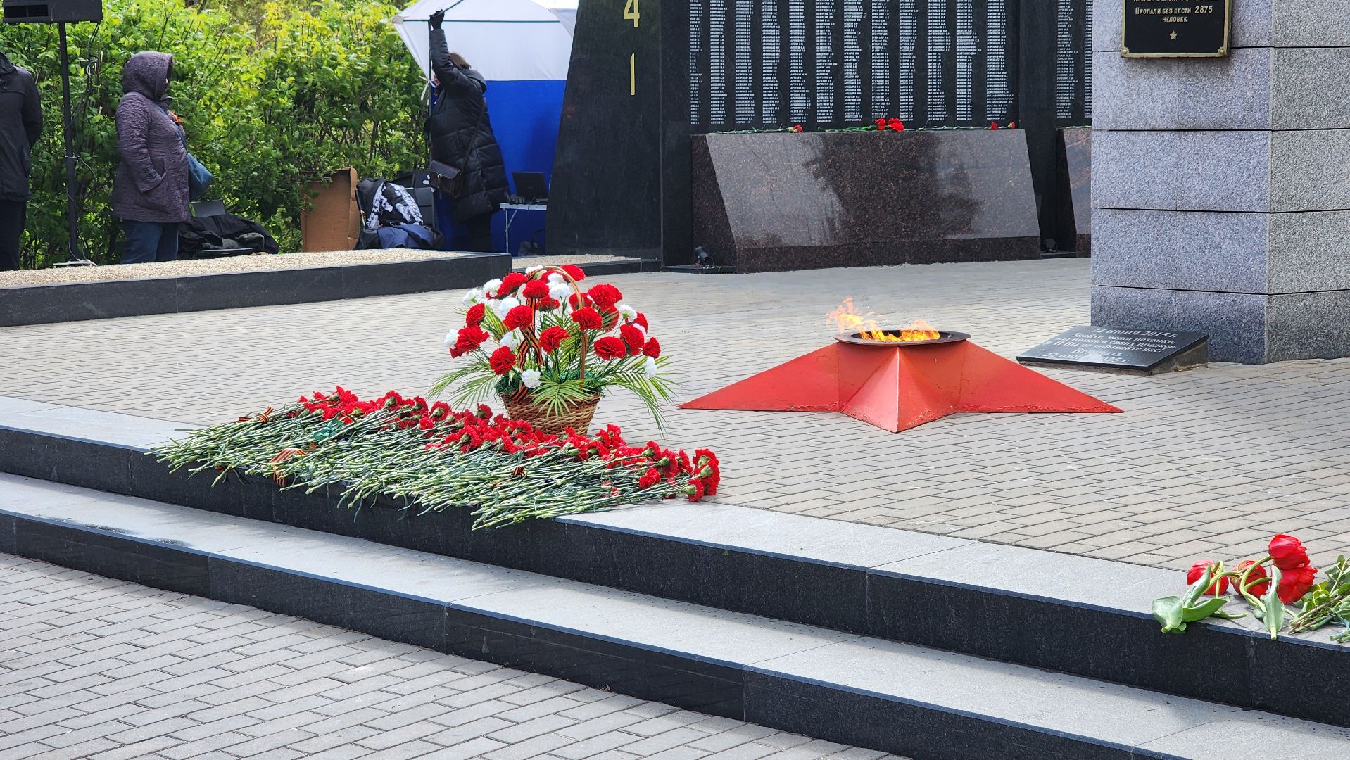 кашира, день победы, 9 мая, аллея славы, митинг, возложение цветов,