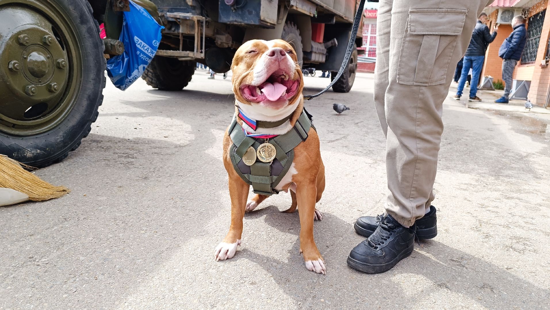 день победы, концерт, полевая кухня, лобня,