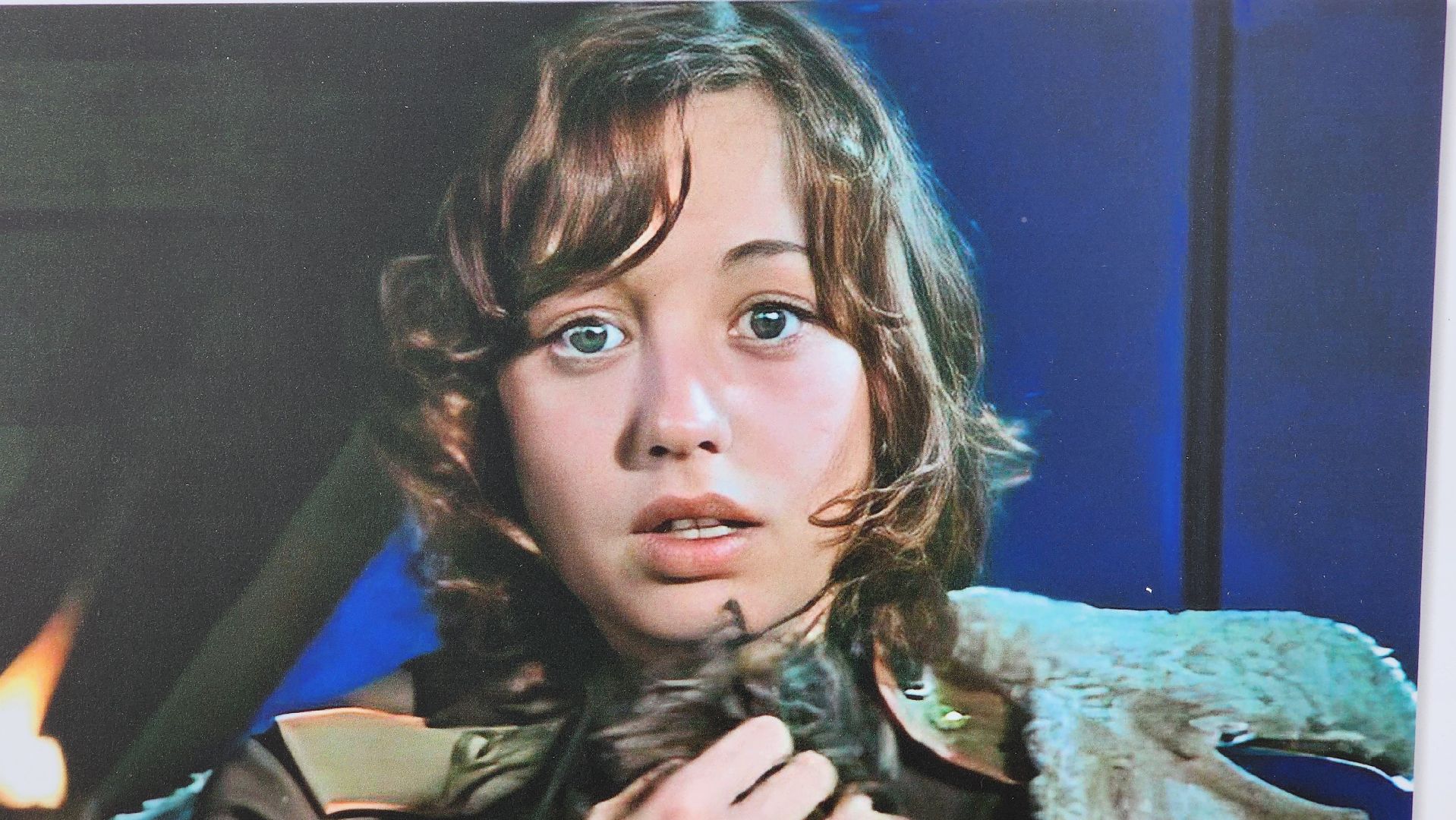 Солнечногорск, 9 мая, День Победы, борис васильев, фотовыставка,