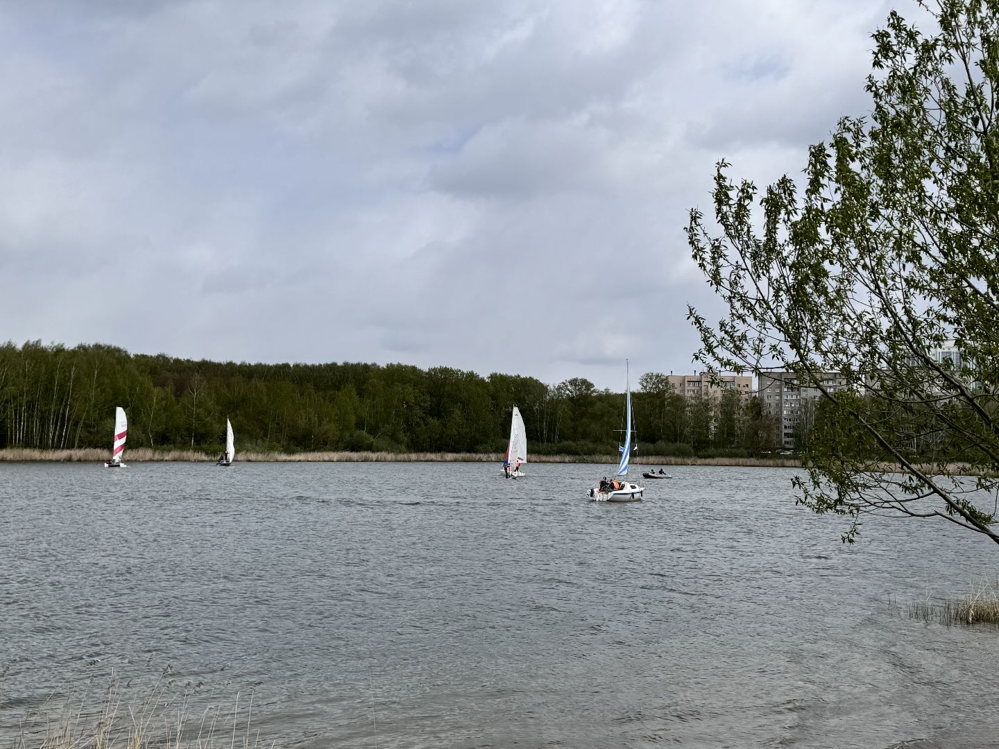 Солнечногорск, Спорт, Парусная регата, 9 мая, день победы,